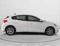 Ford Focus 1.5 Ecoblue Trend+ 120 Blanco - thumbnail 2