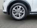 Audi Q3 35 TDI LED PDC Phone Box Weiß - thumbnail 21