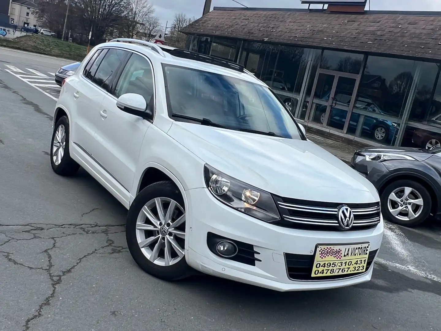 Volkswagen Tiguan Tiguan 2.0 CR TDi Sport-Line Full Option Blanc - 2