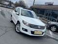 Volkswagen Tiguan Tiguan 2.0 CR TDi Sport-Line Full Option Blanc - thumbnail 1