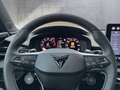 CUPRA Terramar TRIBE 2.0 TSI 204 PS DSG 4Drive Schwarz - thumbnail 10