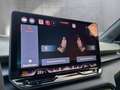 CUPRA Terramar TRIBE 2.0 TSI 204 PS DSG 4Drive Schwarz - thumbnail 26