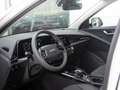 Kia e-Niro EV Light Advanced 64.8 kWh | OP VOORRAAD | SNEL LE Wit - thumbnail 18