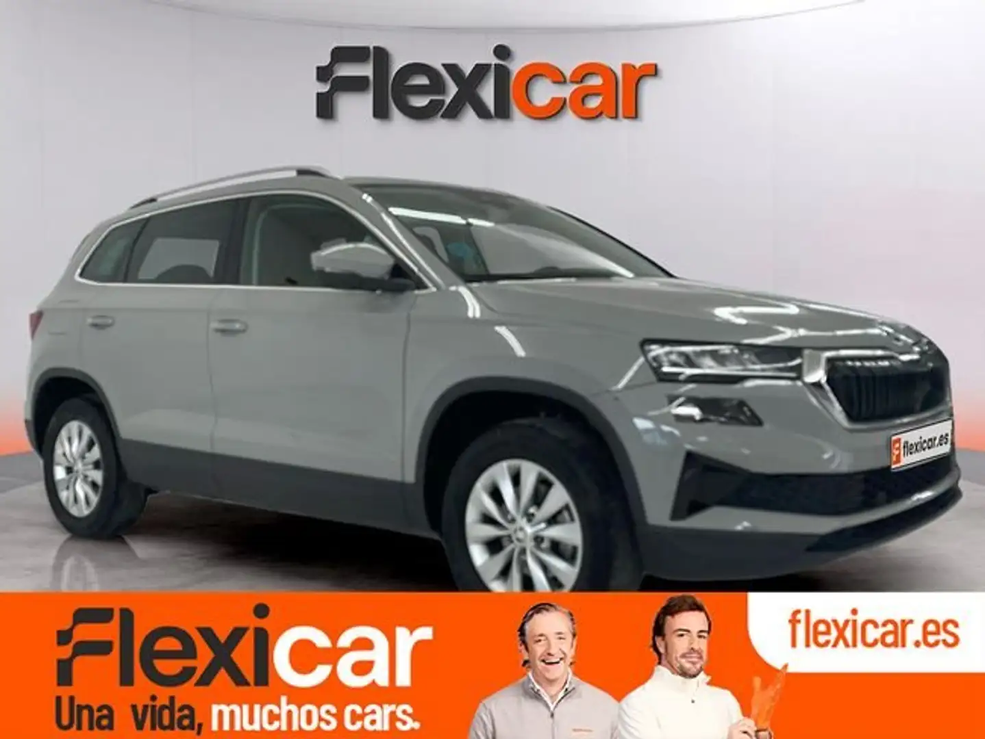 Skoda Karoq 1.0 TSI Ambition 81KW Gris - 1