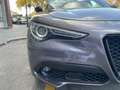 Alfa Romeo Stelvio Stelvio 2017 2.2 t Executive rwd 180cv auto Gris - thumbnail 15