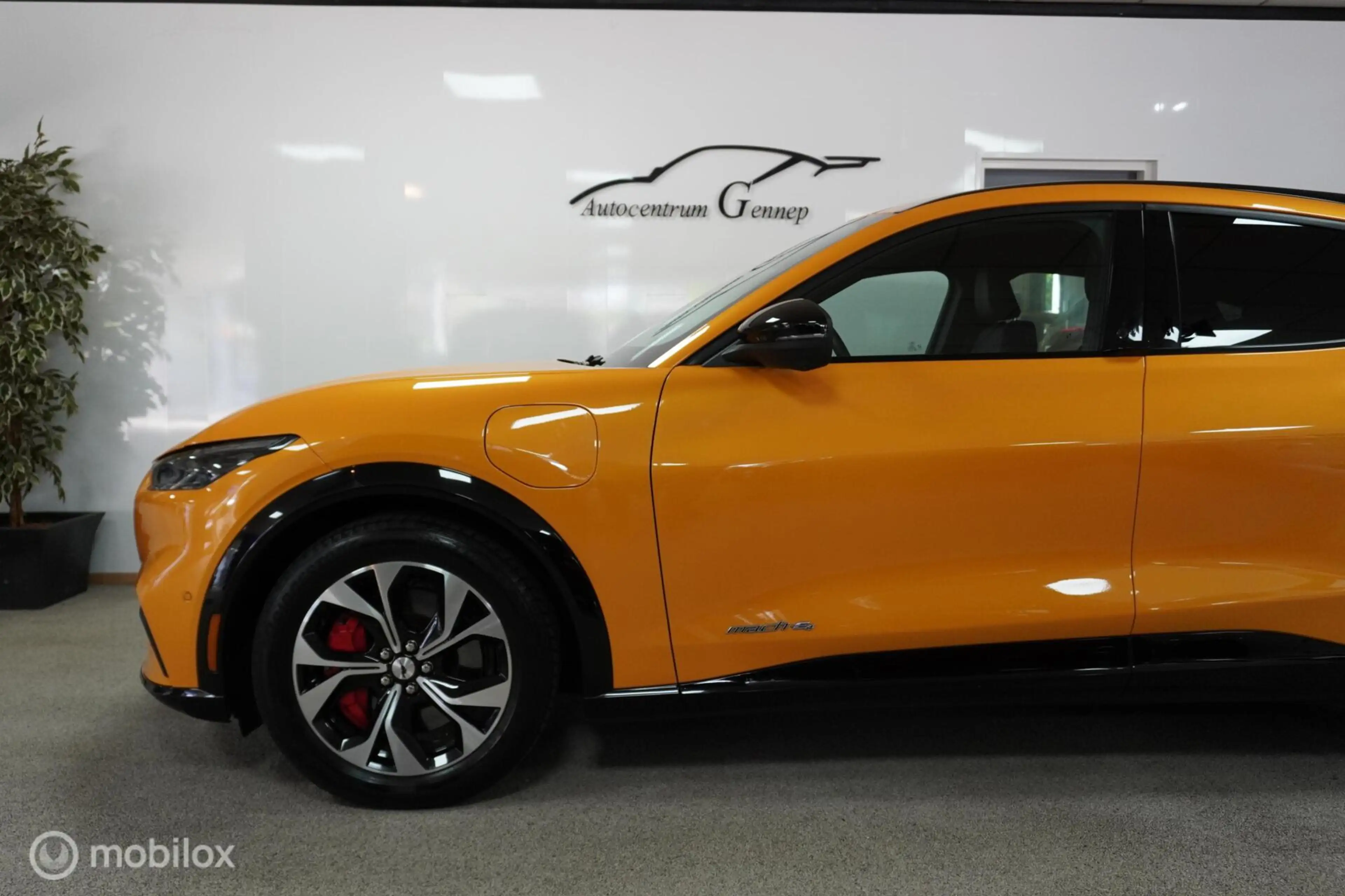 Ford Mustang Mach-E Premium AWD 75 kWh — photo 13