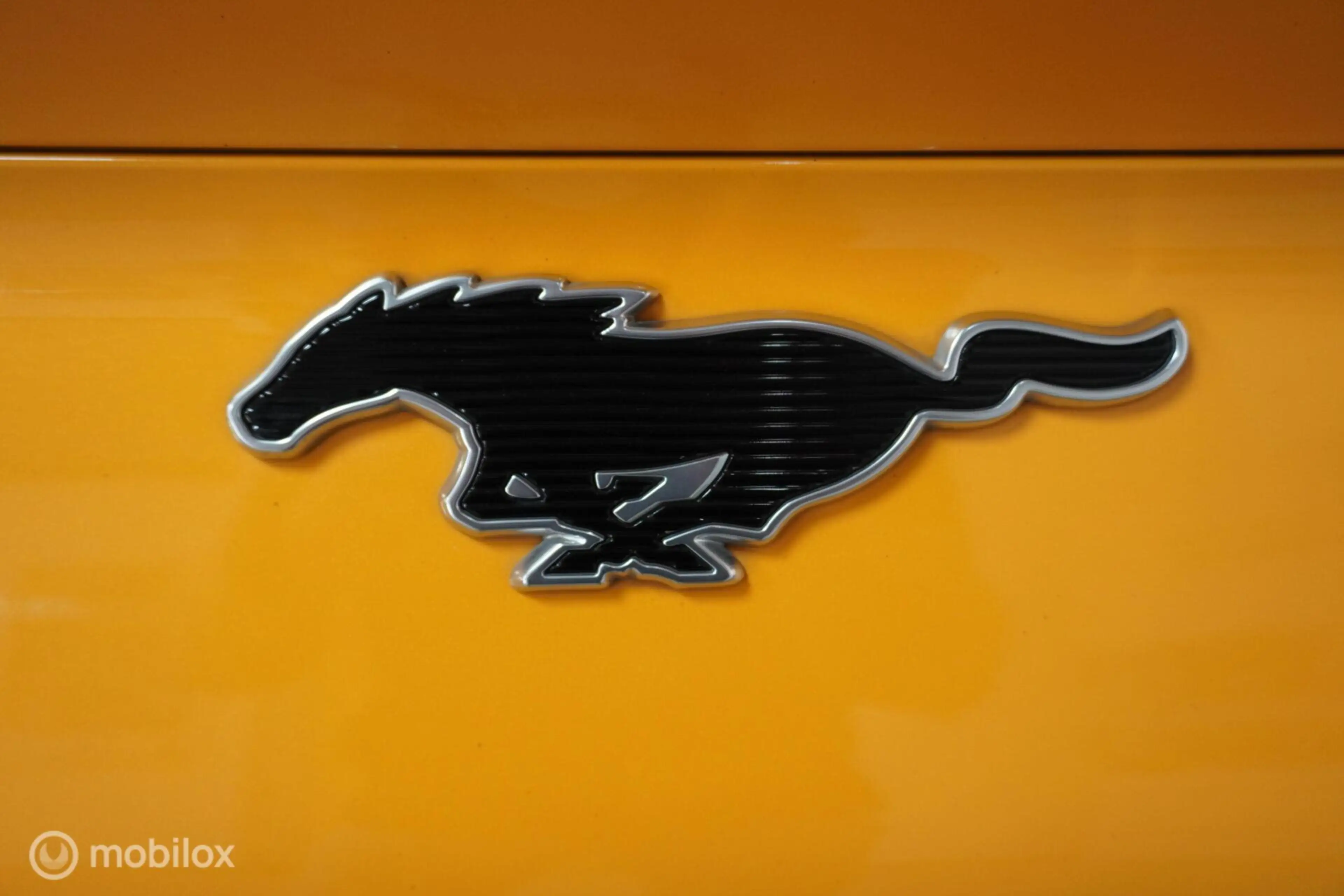 Ford Mustang Mach-E Premium AWD 75 kWh — photo 18