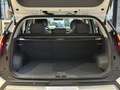 Kia EV3 58,3 kWh Air Wit - thumbnail 8