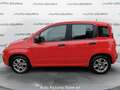 Fiat Panda 1.2 Easy *PROMO FINANZIARIA* Rouge - thumbnail 8