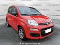 Fiat Panda 1.2 Easy *PROMO FINANZIARIA* Rouge - thumbnail 3