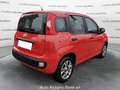 Fiat Panda 1.2 Easy *PROMO FINANZIARIA* Rosso - thumbnail 5