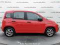 Fiat Panda 1.2 Easy *PROMO FINANZIARIA* Rouge - thumbnail 4