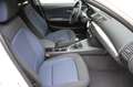 BMW 116 BMW 116i/Pdc/Multistuur/cruise control.; Blanc - thumbnail 13