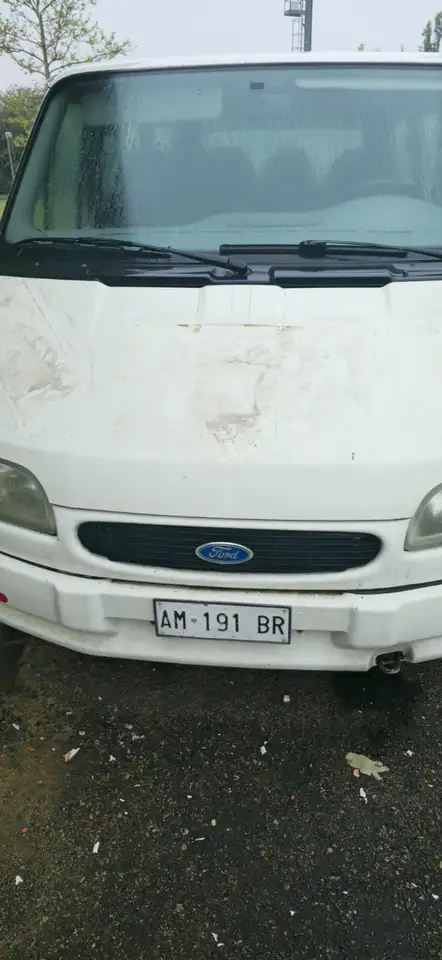 Ford Tourneo pulmino 9 posti, foto 2