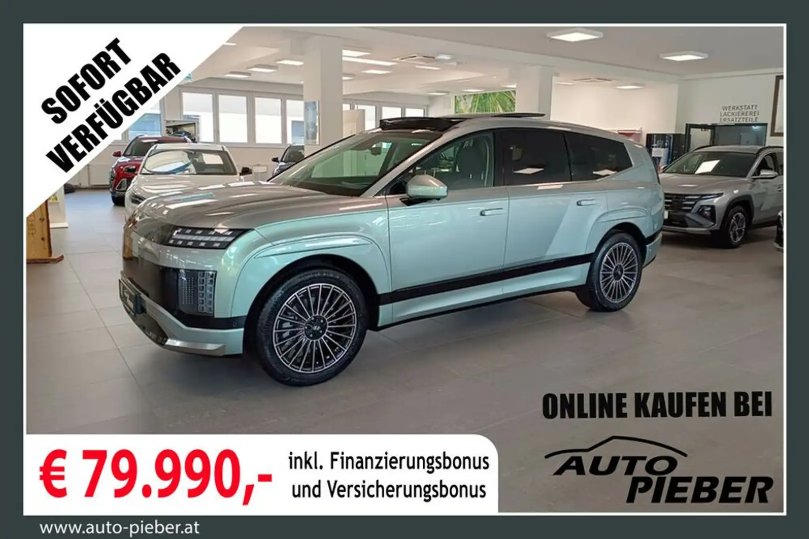 Hyundai IONIQ 9 IONIQ 9 110kWh 4WD 6Stz. Calligraphy *Matrix* Grau - 1