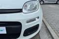 Fiat Panda Panda 1.3 MJT S&S Young Blanc - thumbnail 9