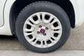 Fiat Panda Panda 1.3 MJT S&S Young Blanc - thumbnail 12