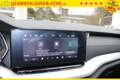 Skoda Octavia 1.5 TSI mHEV *SHARK-BLUE*"DSG*ACC*SHZ+LKH+FSH*L... Blau - thumbnail 30