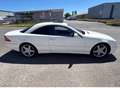 Mercedes-Benz CL 55 AMG Weiß - thumbnail 6