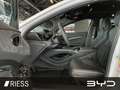 BYD Seal Excellence AWD Weiß - thumbnail 2