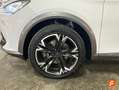 CUPRA Formentor 1.5 TSI 110kW (150 CV) DSG Blanco - thumbnail 32