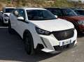 Peugeot 2008 2008 II 2021  1.2 benzina Bianco - thumbnail 2