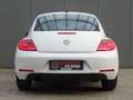 Volkswagen Beetle 1.2 TSI Design * PDC * 4 SEIZOENSBANDEN !! Weiß - thumbnail 7