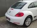Volkswagen Beetle 1.2 TSI Design * PDC * 4 SEIZOENSBANDEN !! Weiß - thumbnail 22