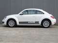 Volkswagen Beetle 1.2 TSI Design * PDC * 4 SEIZOENSBANDEN !! Weiß - thumbnail 8
