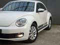 Volkswagen Beetle 1.2 TSI Design * PDC * 4 SEIZOENSBANDEN !! Weiß - thumbnail 23