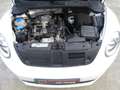 Volkswagen Beetle 1.2 TSI Design * PDC * 4 SEIZOENSBANDEN !! Weiß - thumbnail 28