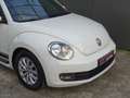Volkswagen Beetle 1.2 TSI Design * PDC * 4 SEIZOENSBANDEN !! Weiß - thumbnail 21