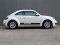 Volkswagen Beetle 1.2 TSI Design * PDC * 4 SEIZOENSBANDEN !! Weiß - thumbnail 6