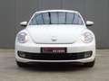 Volkswagen Beetle 1.2 TSI Design * PDC * 4 SEIZOENSBANDEN !! Weiß - thumbnail 5