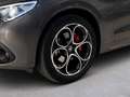 Alfa Romeo Stelvio 2.2 t Veloce Q4 210cv auto - PROMO Grigio - thumbnail 26
