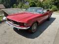 Ford Mustang V8 289 Cabrio - thumbnail 3