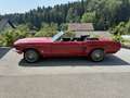Ford Mustang V8 289 Cabrio - thumbnail 4