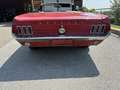 Ford Mustang V8 289 Cabrio - thumbnail 6