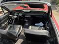 Ford Mustang V8 289 Cabrio - thumbnail 9