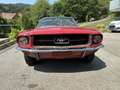 Ford Mustang V8 289 Cabrio - thumbnail 2