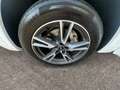Audi Q5 40 TDI qu. S-tronic advanced *AHK*Pano*LED*Na Blanc - thumbnail 15