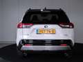 Toyota RAV 4 2.5 Hybrid AWD Style Bi-Tone PDC Camera Grau - thumbnail 17