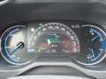Toyota RAV 4 2.5 Hybrid AWD Style Bi-Tone PDC Camera Grau - thumbnail 3