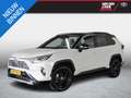 Toyota RAV 4 2.5 Hybrid AWD Style Bi-Tone PDC Camera Grau - thumbnail 1