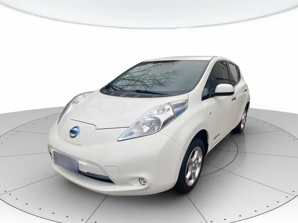 Nissan Leaf 2016 из Европы — купить под ключ