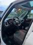 Fiat 500L 500L 2012 0.9 t.air t. natural power Lounge 80cv Biały - thumbnail 4