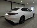 Alfa Romeo Giulia QUADRIFOGLIO 2.9T V6 510 CV AT8 - SUPERCONDIZIONI Bianco - thumbnail 4