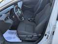 Toyota Corolla 125H Active Tech Blanc - thumbnail 6