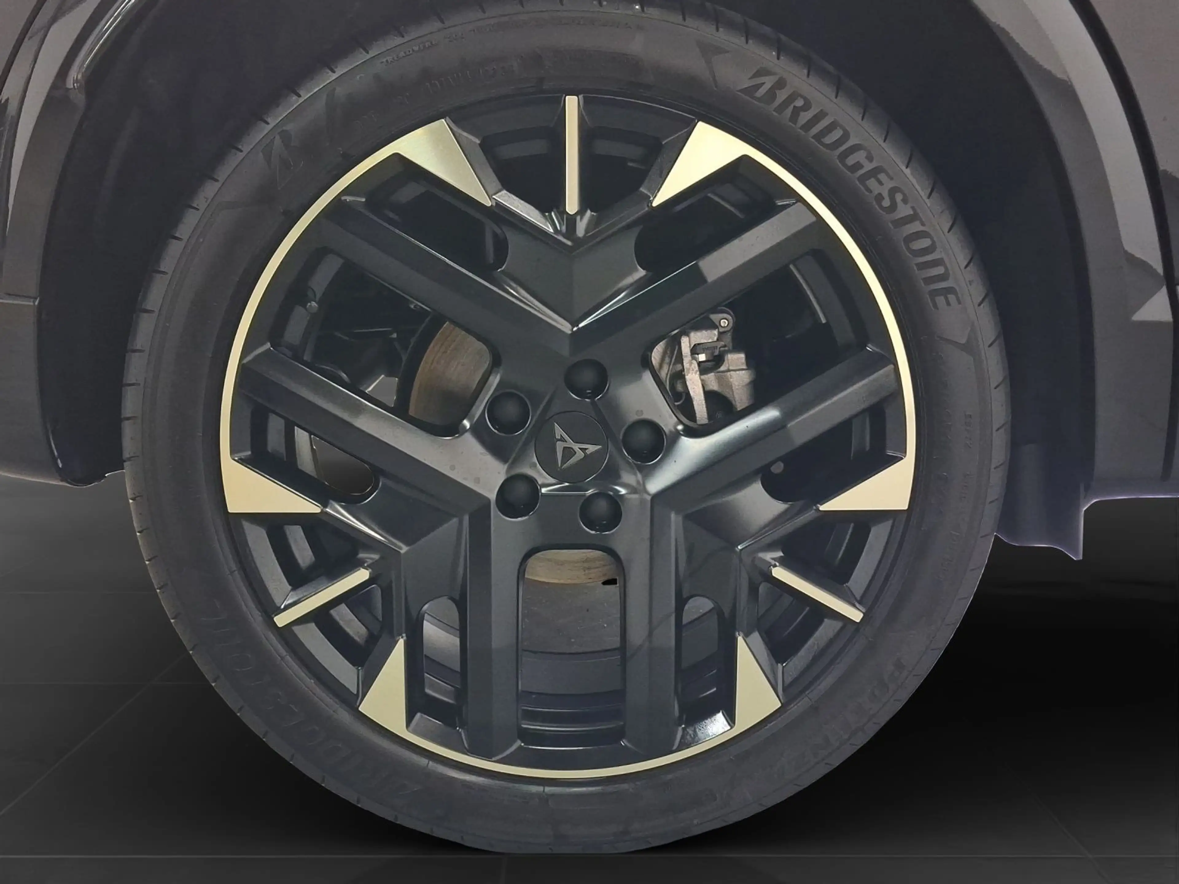 CUPRA Formentor 1.5 eTSI DSG TRIBE EDITION LM19 AHK KA — photo 7