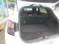 Ford Puma ST-Line/ Hybrid Weiß - thumbnail 12
